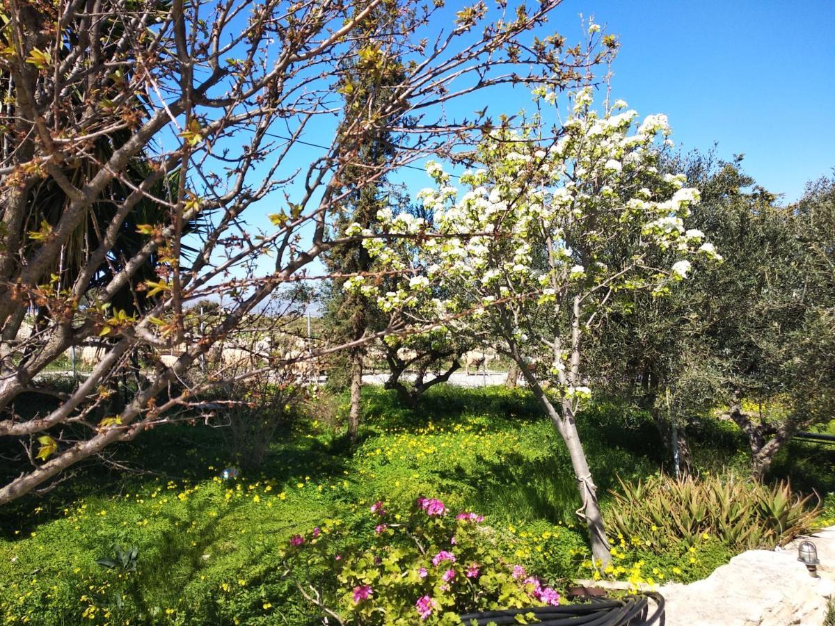 Serapis Country House On The Hill Above Heraklion Off Grid Ξενοδοχείο Αρχάνες Εξωτερικό φωτογραφία