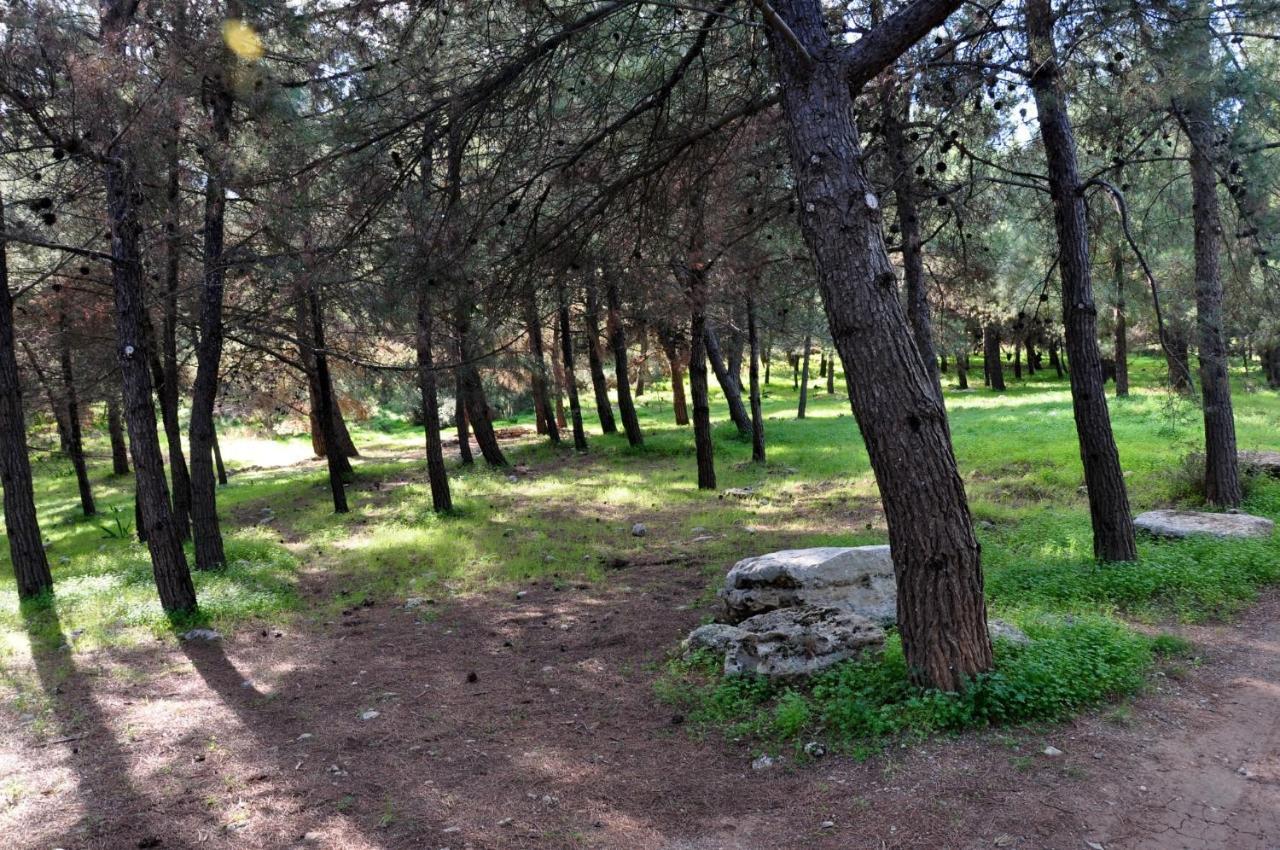 Serapis Country House On The Hill Above Heraklion Off Grid Ξενοδοχείο Αρχάνες Εξωτερικό φωτογραφία