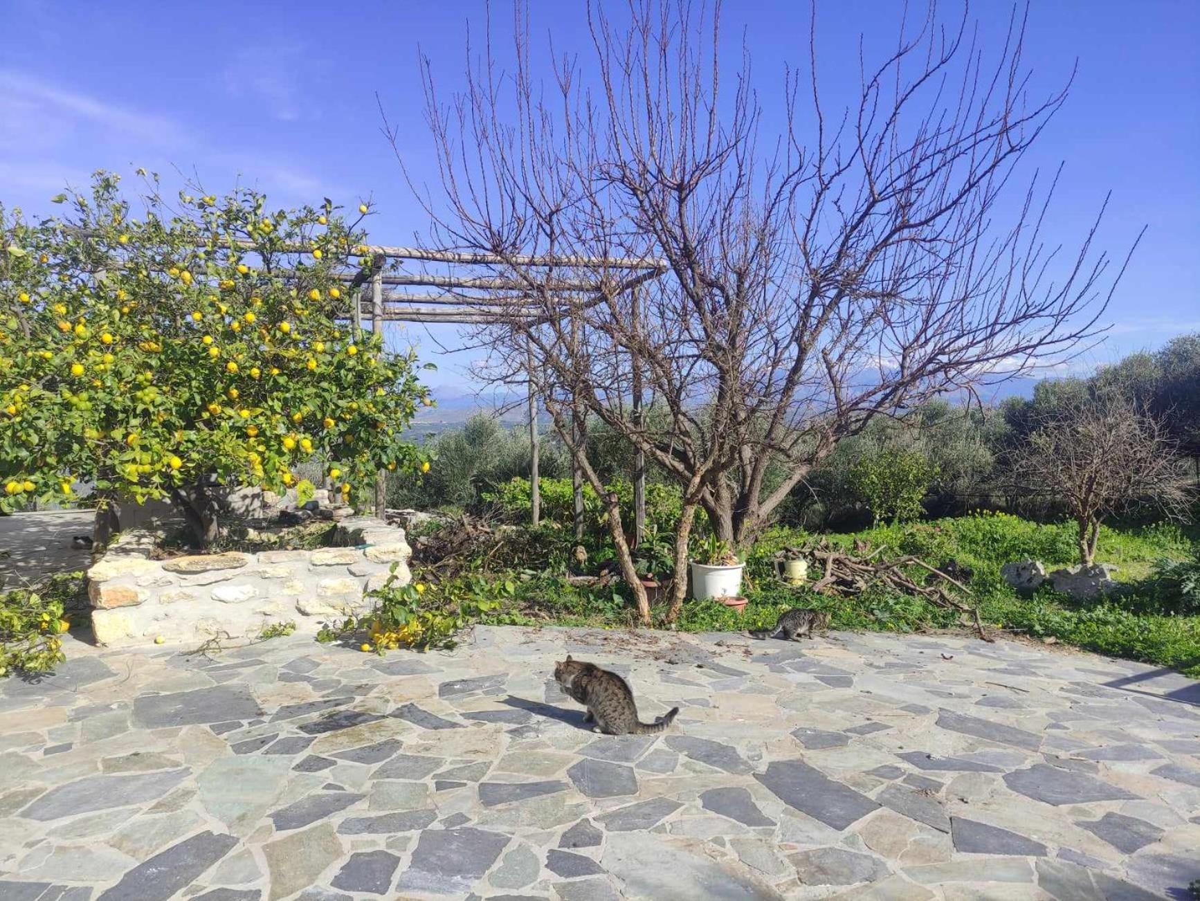 Aletraki -Off-Grid Retreat Above Heraklion, Peaceful Views Αρχάνες Εξωτερικό φωτογραφία